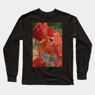 Autumnal Vine Leaves by Avril Thomas Long Sleeve T-Shirt